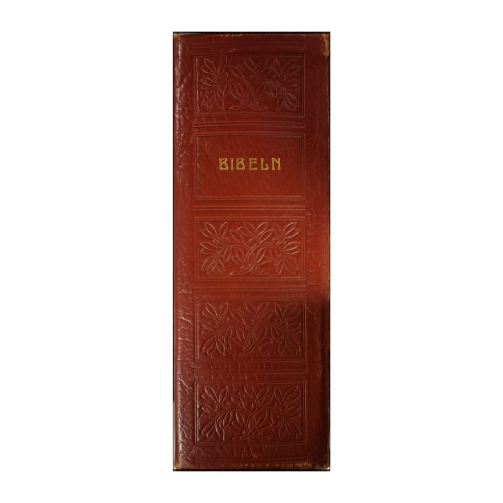 Bibeln