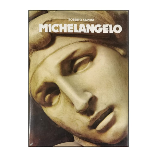 Roberto Salvini: Michelangelo