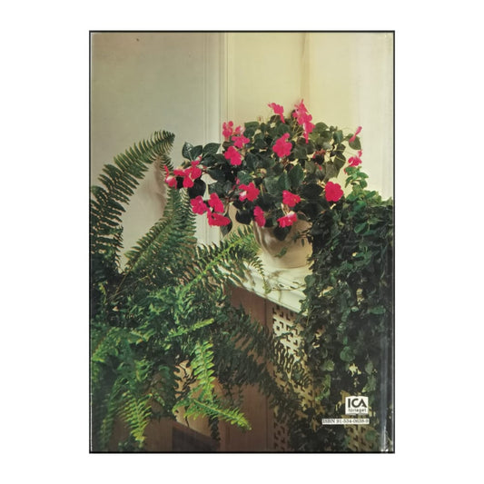 Allt Om Krukväxter 1: Skötsel Och Råd