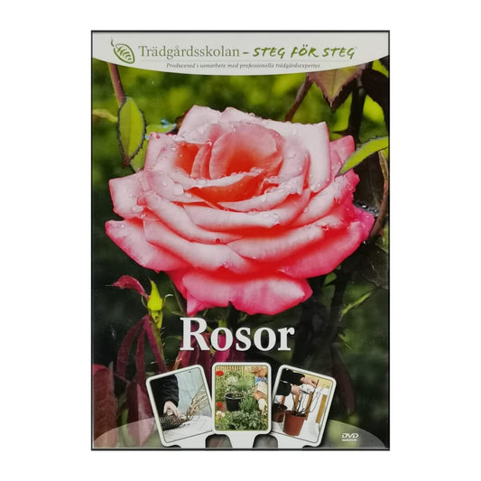 Trädgårdsskolan: Rosor