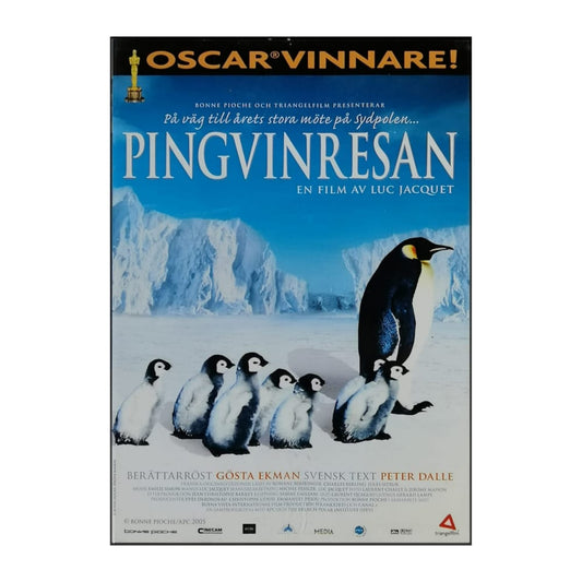 March Of The Penguins | Pingvinresan