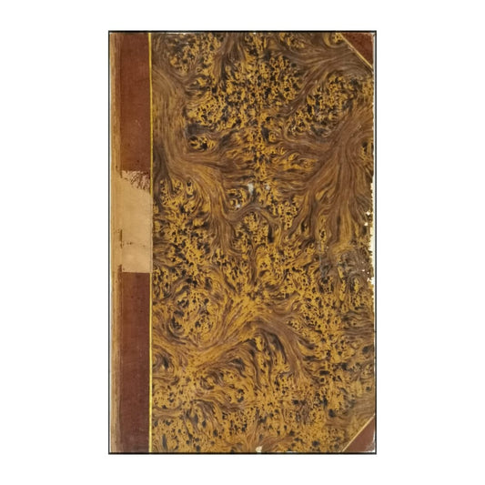 Etienne Arago: Minnen Af En Blind 3