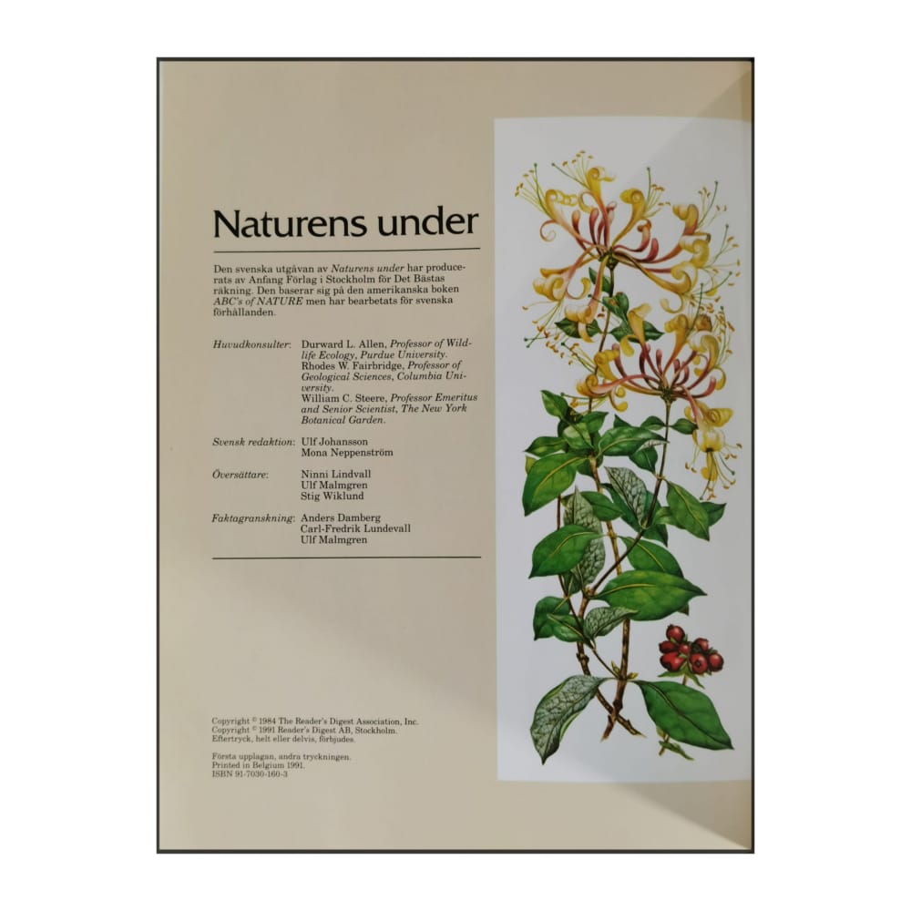 Det Bästa Naturens Under