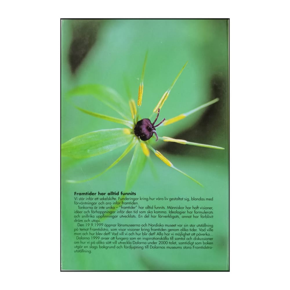 Dalarna 1999 Framtidstro Det Kommer En Tid Efter Dig Också