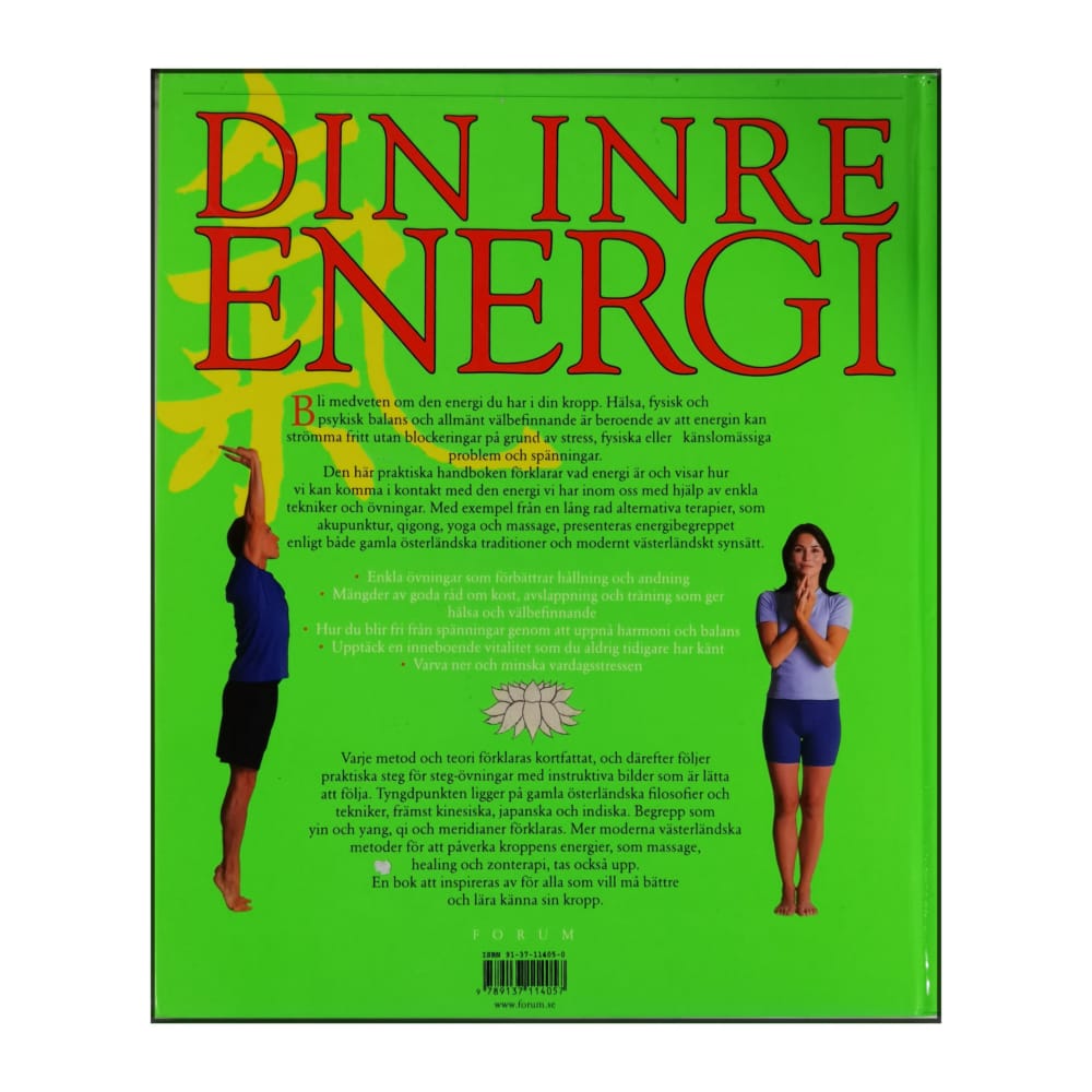Din Inre Energi