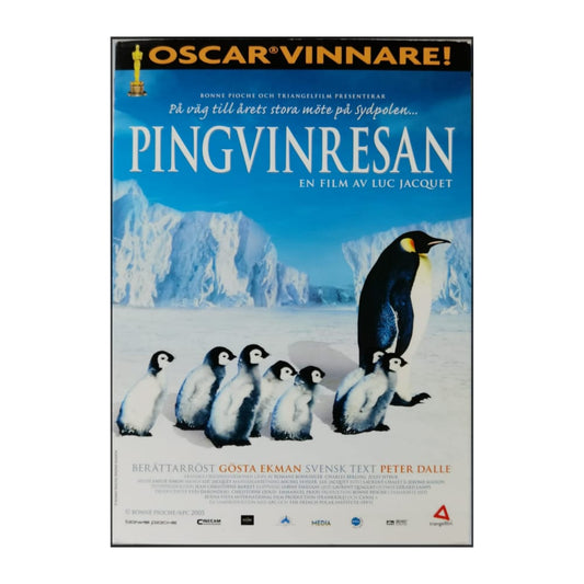 March Of The Penguins | Pingvinresan