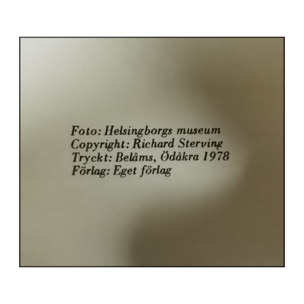 Richard Sterving: Helsingborgs Gatunamn