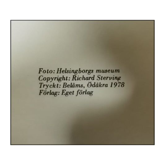 Richard Sterving: Helsingborgs Gatunamn