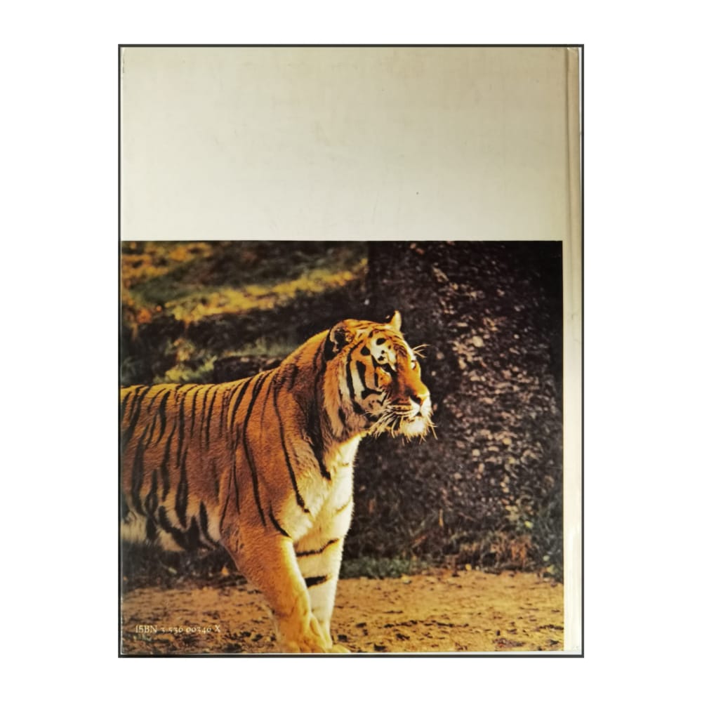 Herbert Plate: Unsere Freunde: 2 Katzen