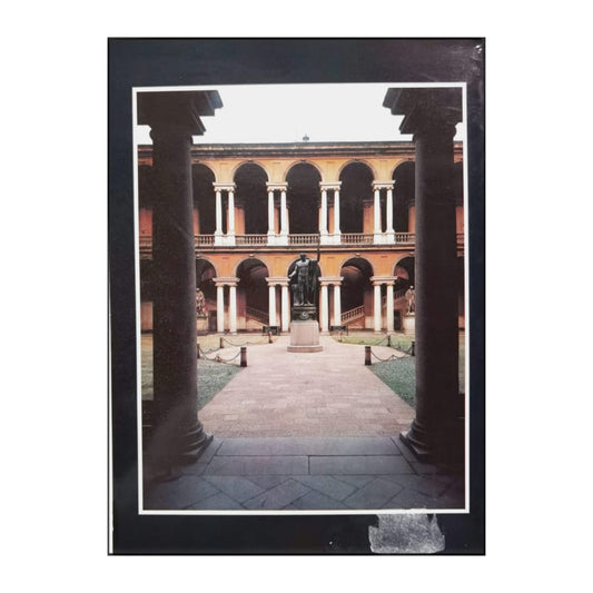 La Pinacoteca Di Brera