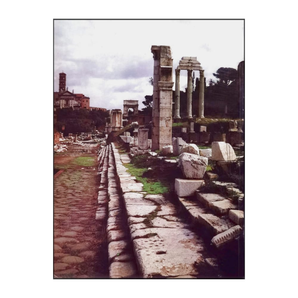 Luisa Franchi Dell'Orto: Ancient Rome