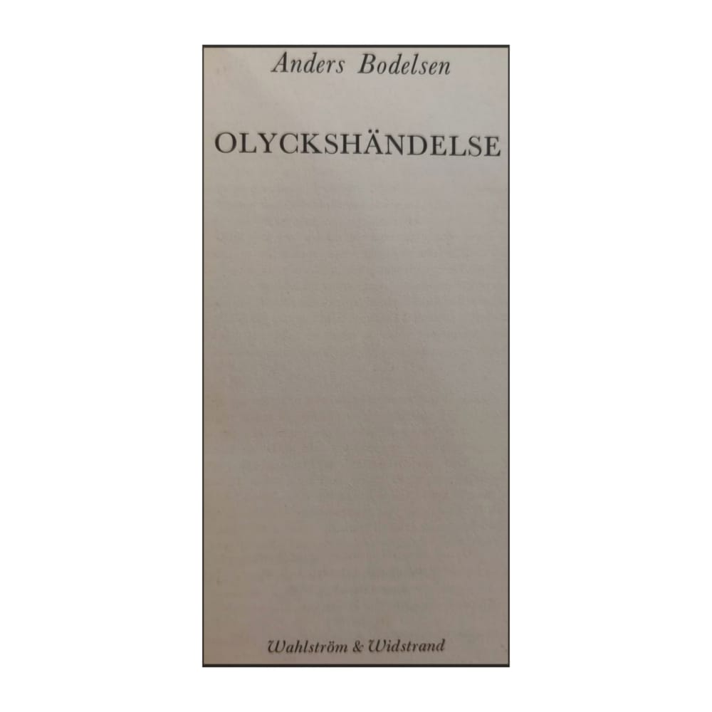 Anders Bodelsen: Olyckshändelse