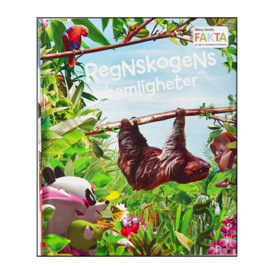 Mina Första Fakta: Regnskogens Hemligheter