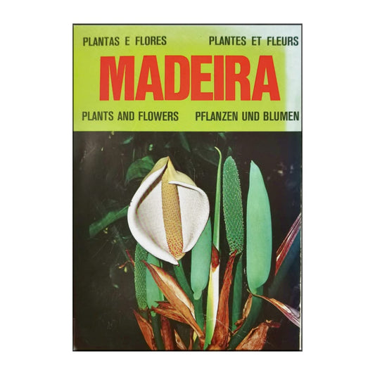 António Da Costa & Luis De O. Franquinho: Madeira