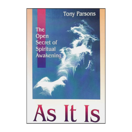 Tony Parsons: As It Is