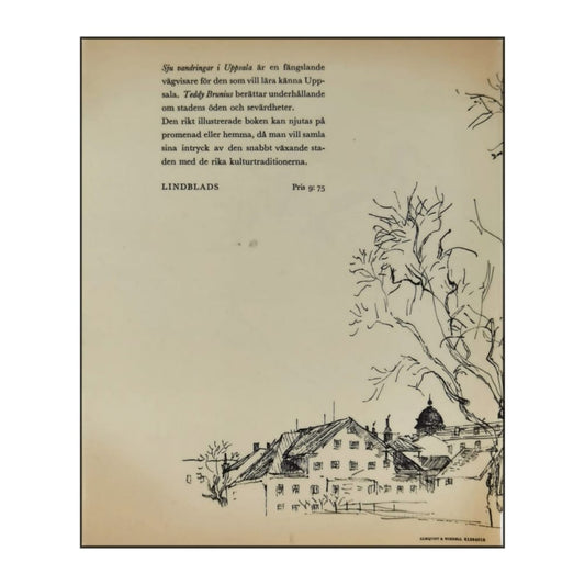 Teddy Brunius: Sju Vandringar I Uppsala