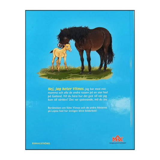 Margareta Nordqvist & Marie Louise Rudolfsson: Vitnos Det Lilla Russet