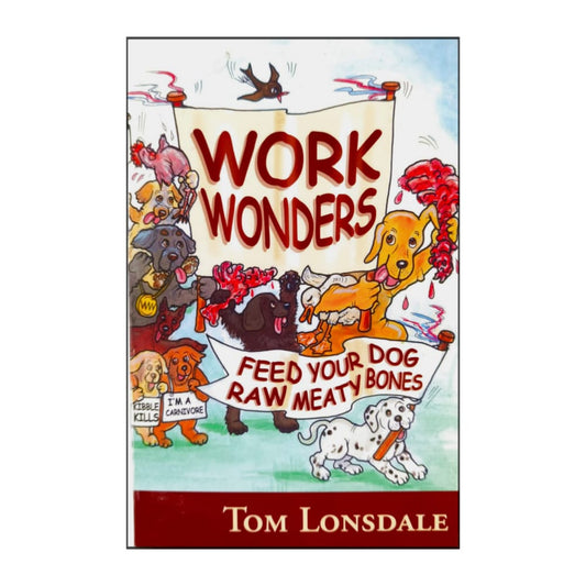Tom Lonsdale: Work Wonders