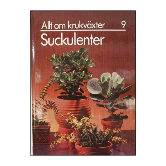 Allt Om Krukväxter 9 Suckulenter