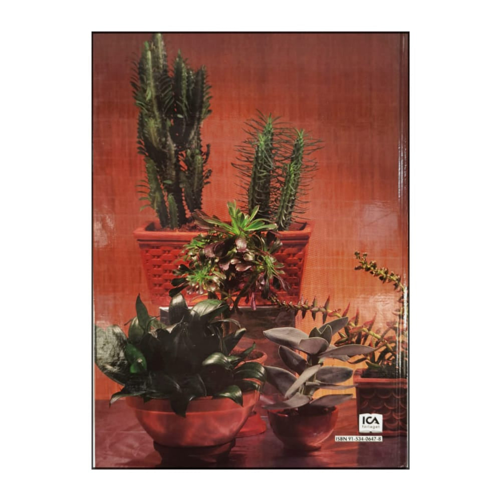 Allt Om Krukväxter 9 Suckulenter