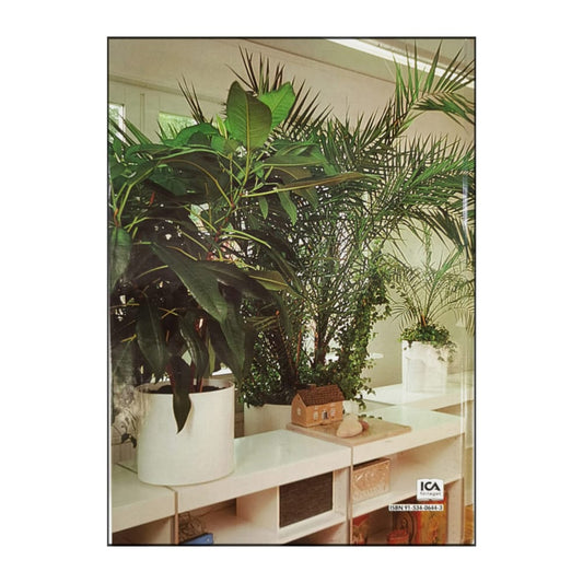 Allt Om Krukväxter 7 Bladväxter