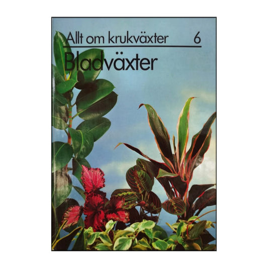 Allt Om Krukväxter 6 Bladväxter