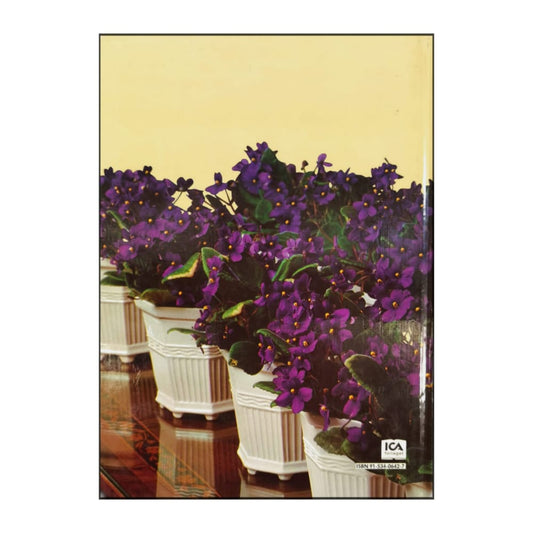 Allt Om Krukväxter 5 Blommor I Kruka