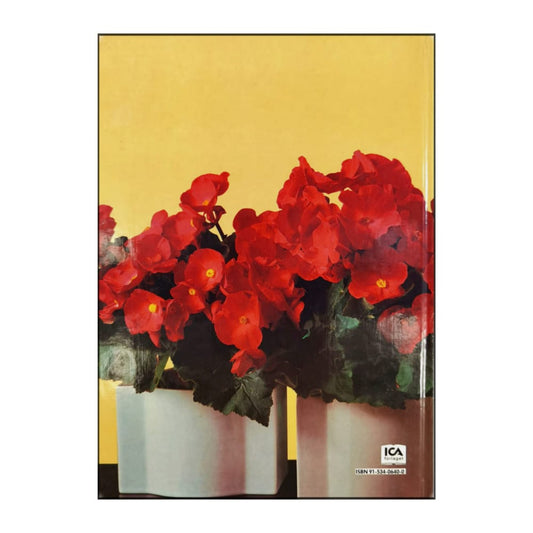 Allt Om Krukväxter 3 Blommor I Kruka