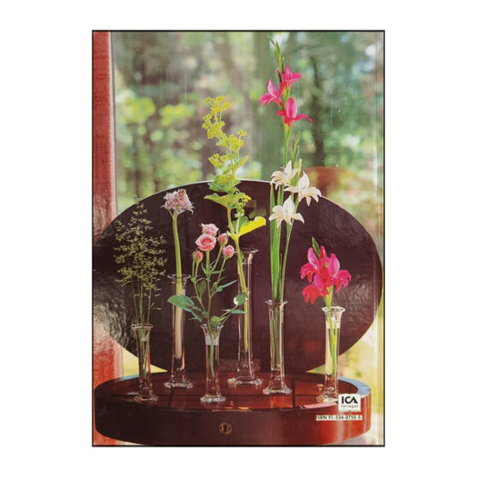 Allt Om Krukväxter 22 Blommor I Miljö