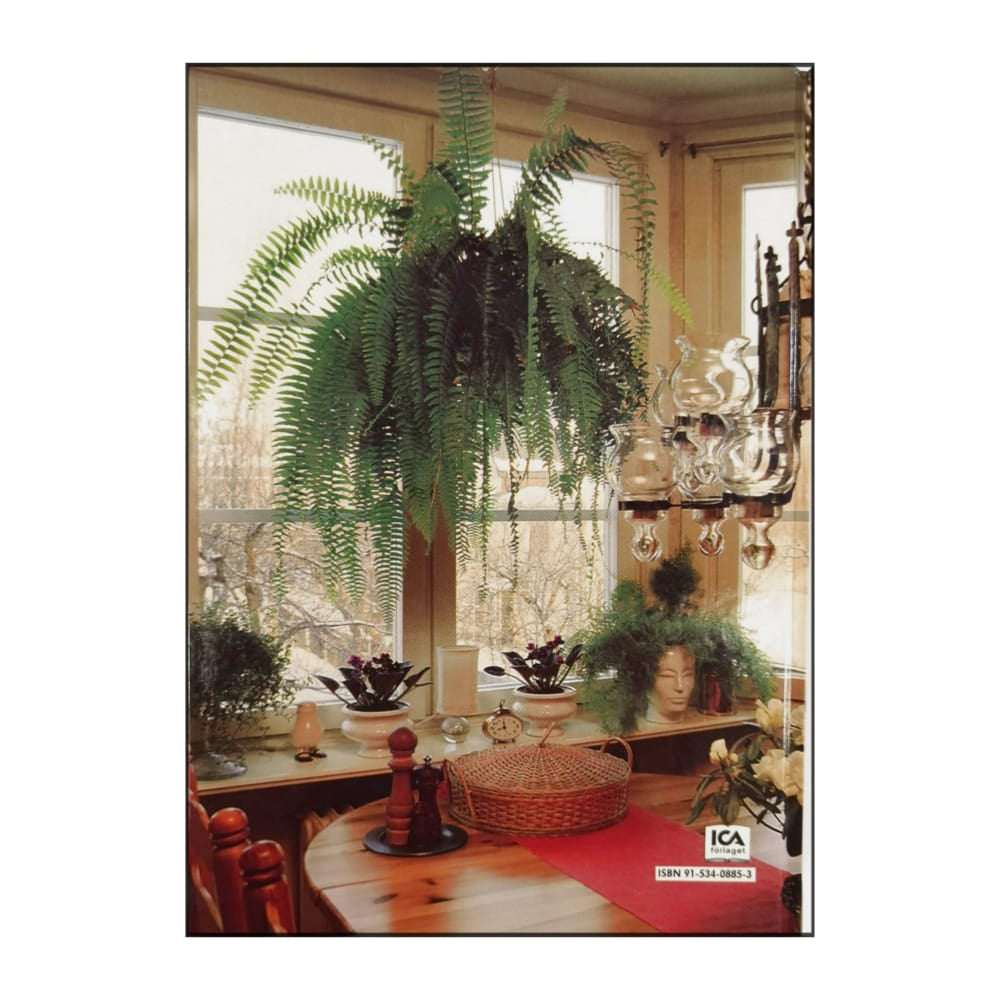 Allt Om Krukväxter Jubileumsserien Mitt Gröna Fönster