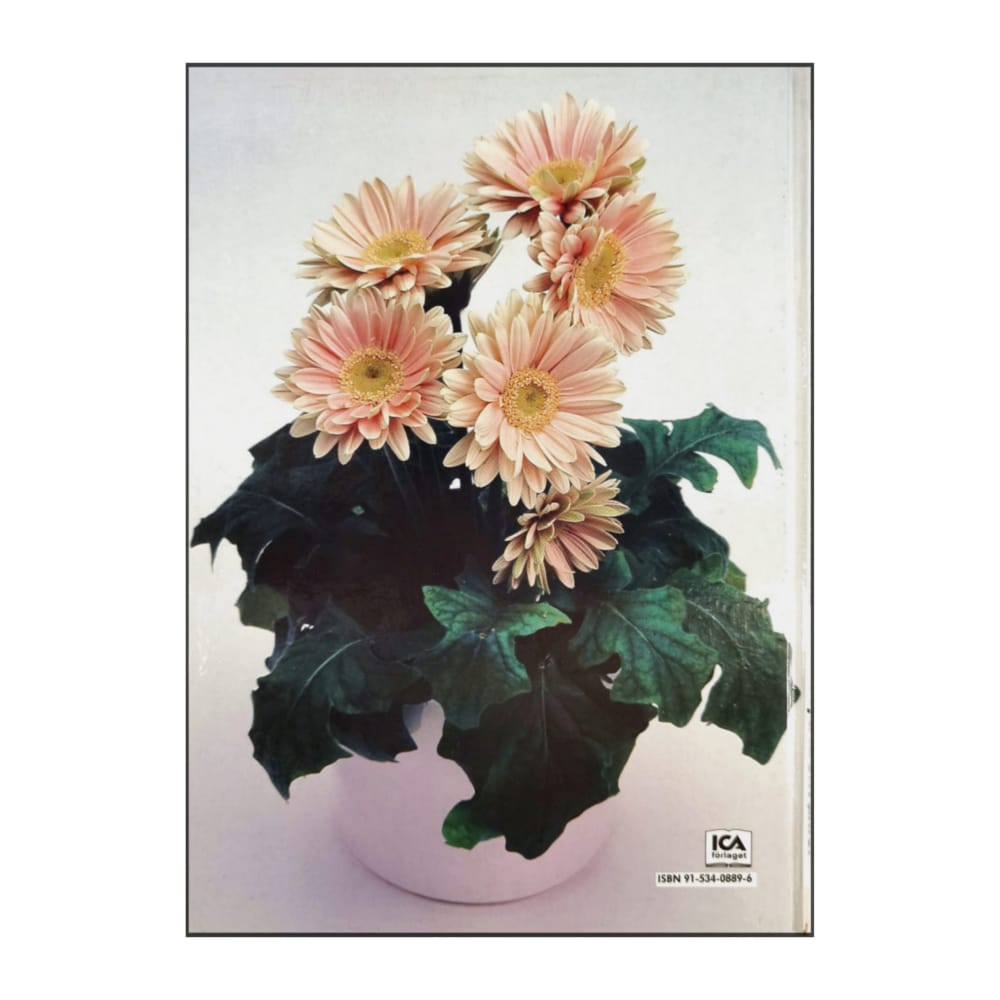 Allt Om Krukväxter Jubileumsserien Nya Krukväxter