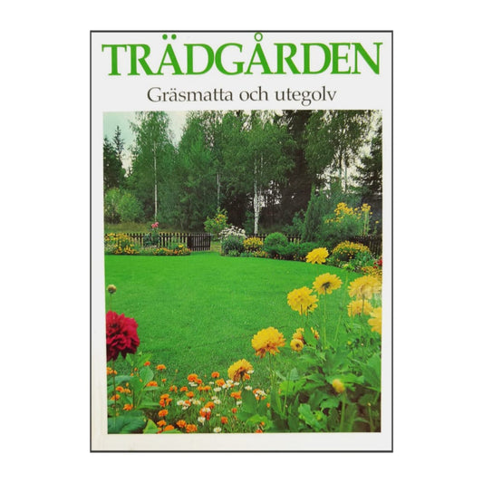 Trädgården Gräsmatta Och Utegolv