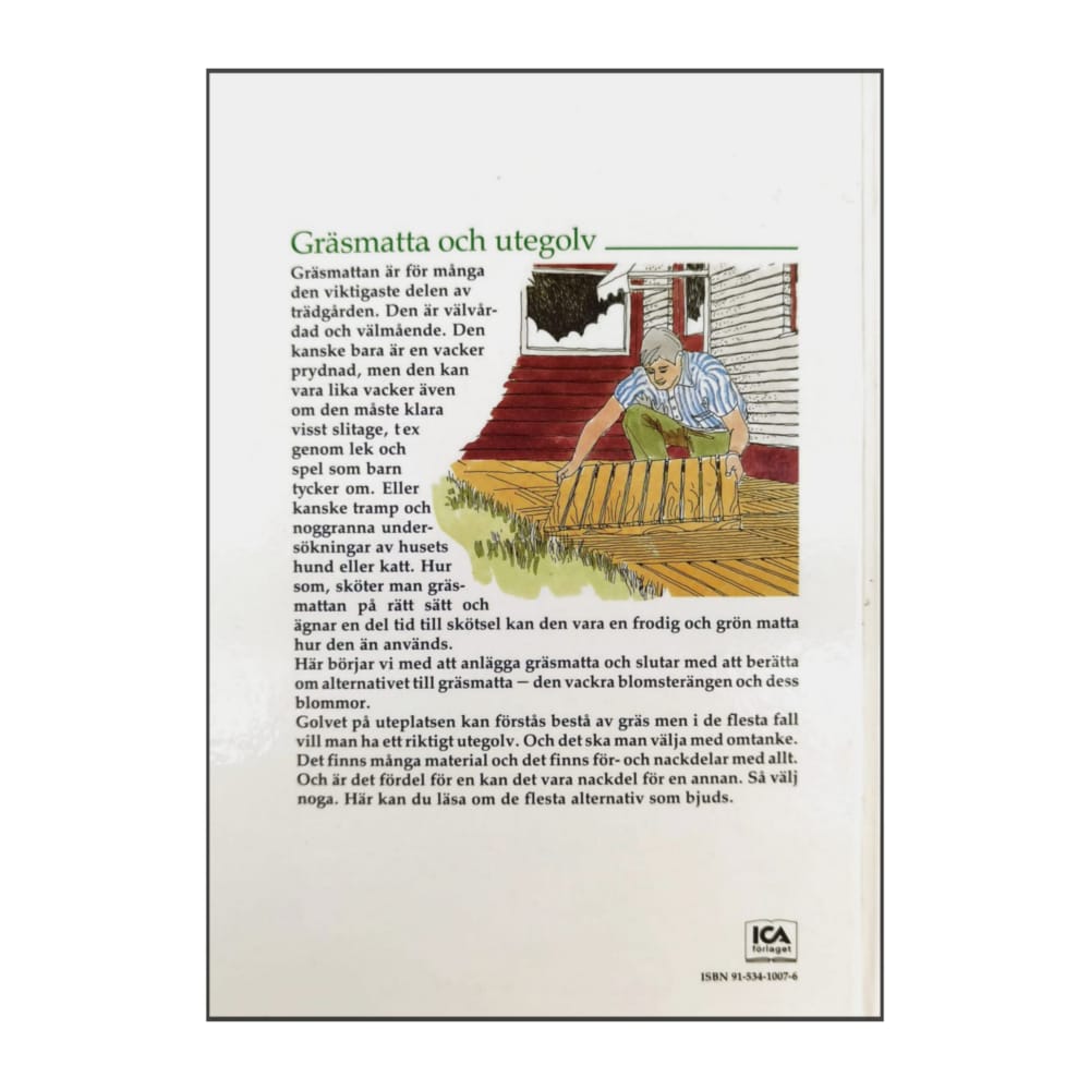 Trädgården Gräsmatta Och Utegolv