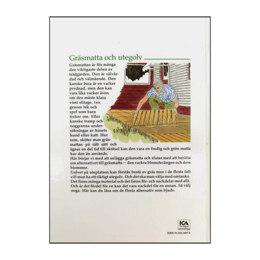 Trädgården Gräsmatta Och Utegolv