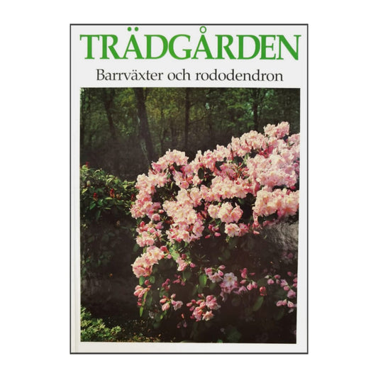 Trädgården Barrväxter Och Rododendron