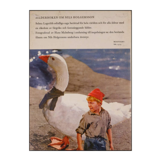 Selma Lagerlöf: Nils Holgerssons Underbara Resa