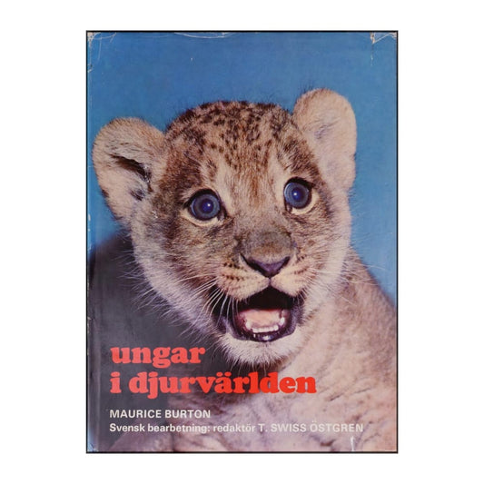 Maurice Burton: Ungar I Djurvärlden