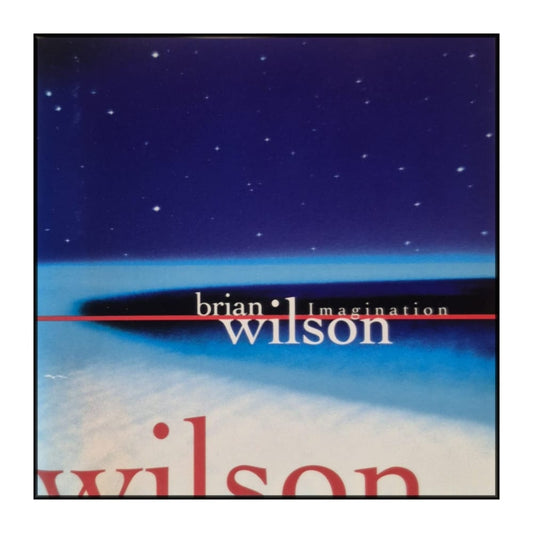 Brian Wilson: Imagination