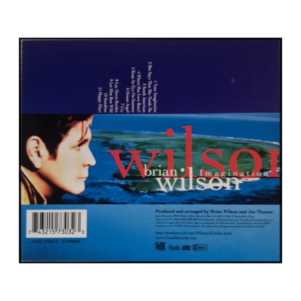 Brian Wilson: Imagination
