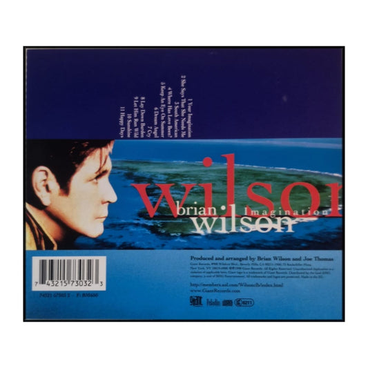 Brian Wilson: Imagination