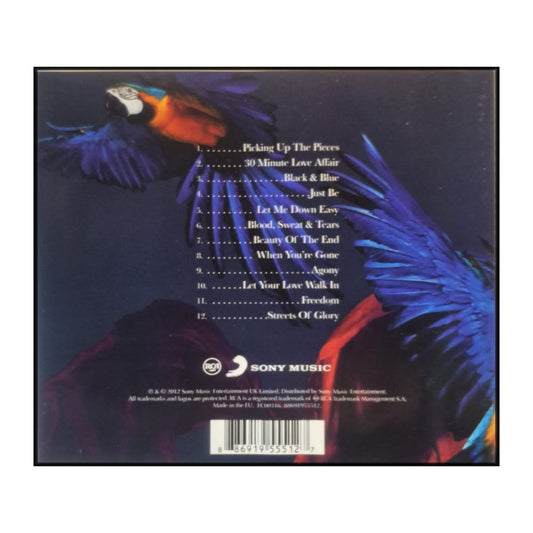 Paloma Faith: Fall To Grace