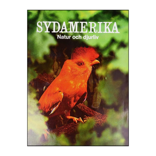 Natur Och Djurliv: Sydamerika
