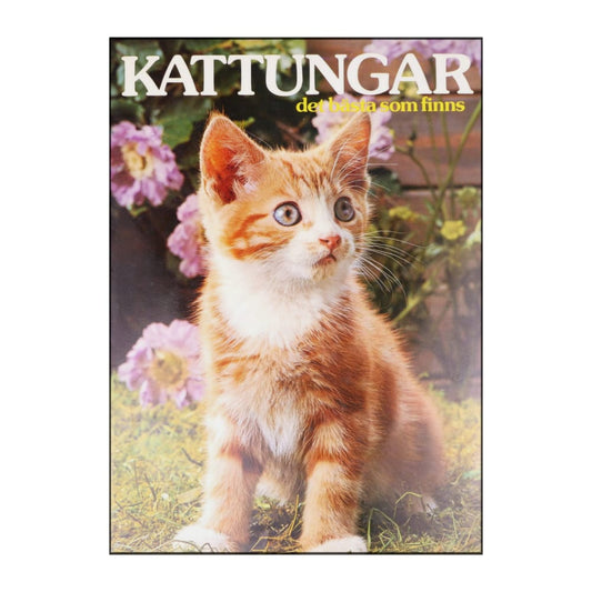 Det Bästa Som Finns: Kattungarna