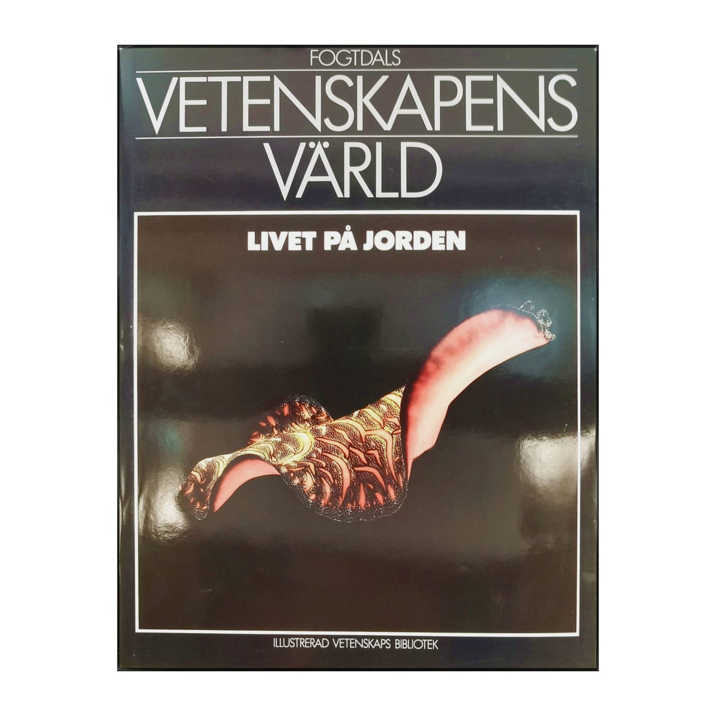 Vetenskapens Värld 7 Livet På Jorden
