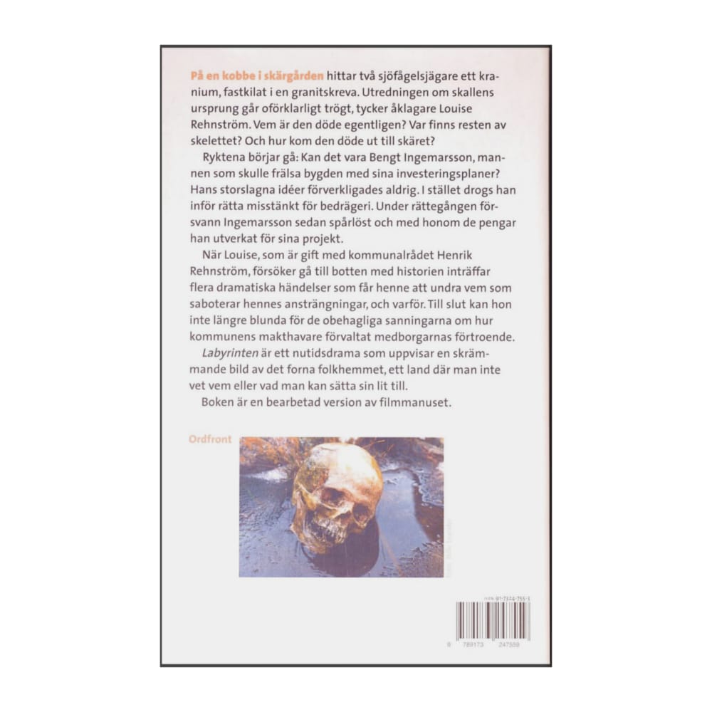 Henning Mankell: Labyrinten