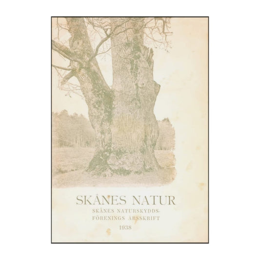 Skånes Natur 1938