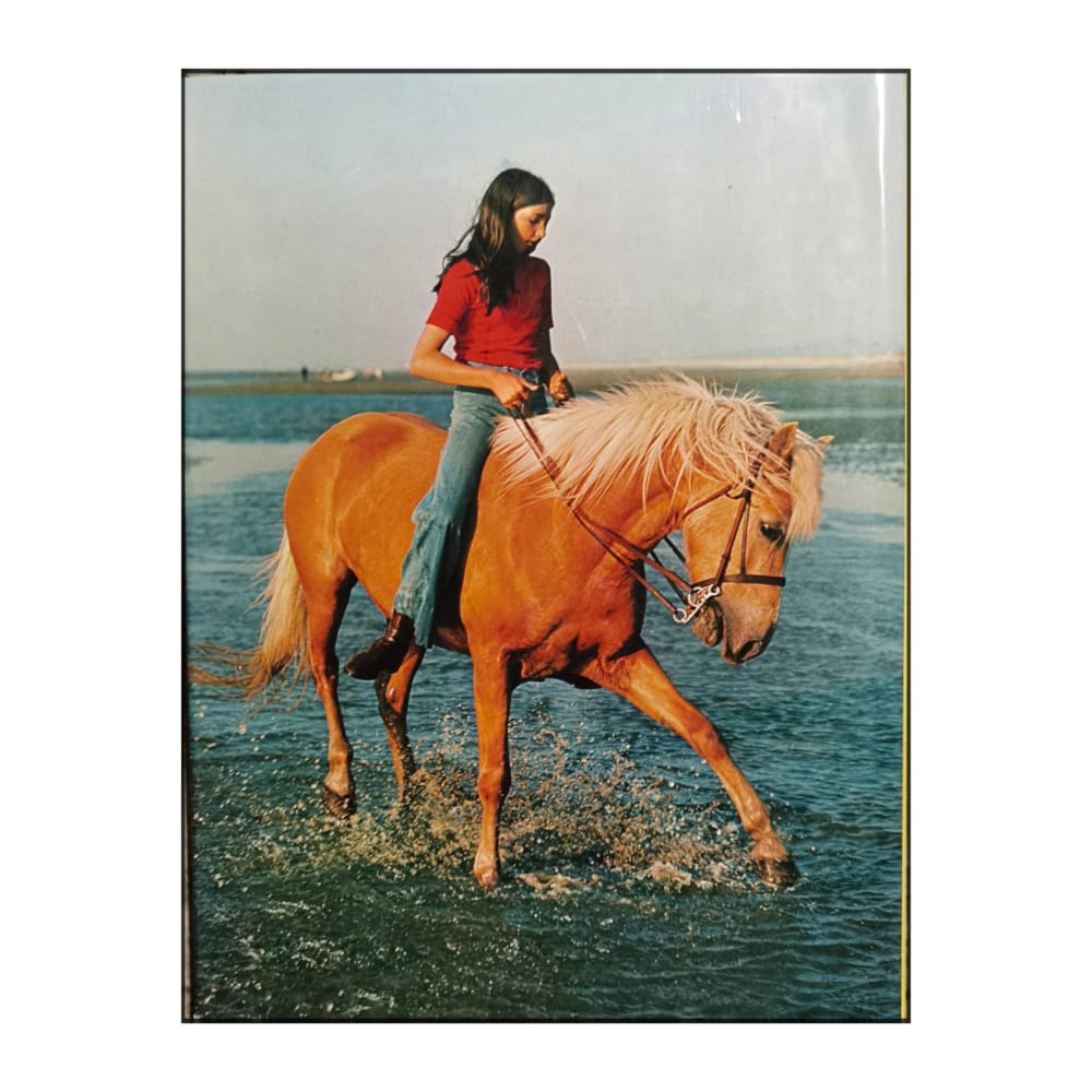 Ponnyn: Det Bästa Som Finns