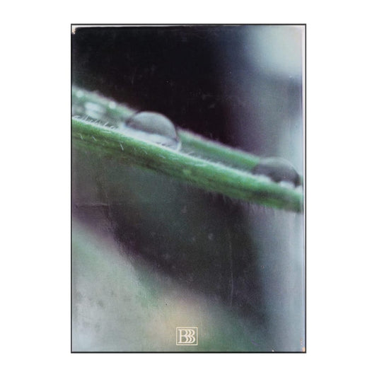 Rolf Edberg: Droppar Av Vatten Droppar Av År