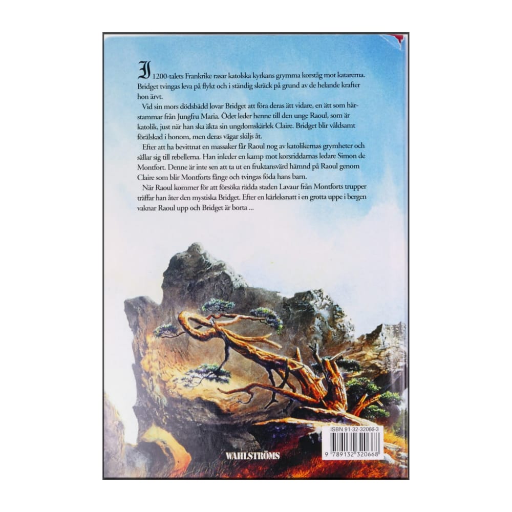 Elizabeth Chadwick: Ljusets Döttrar