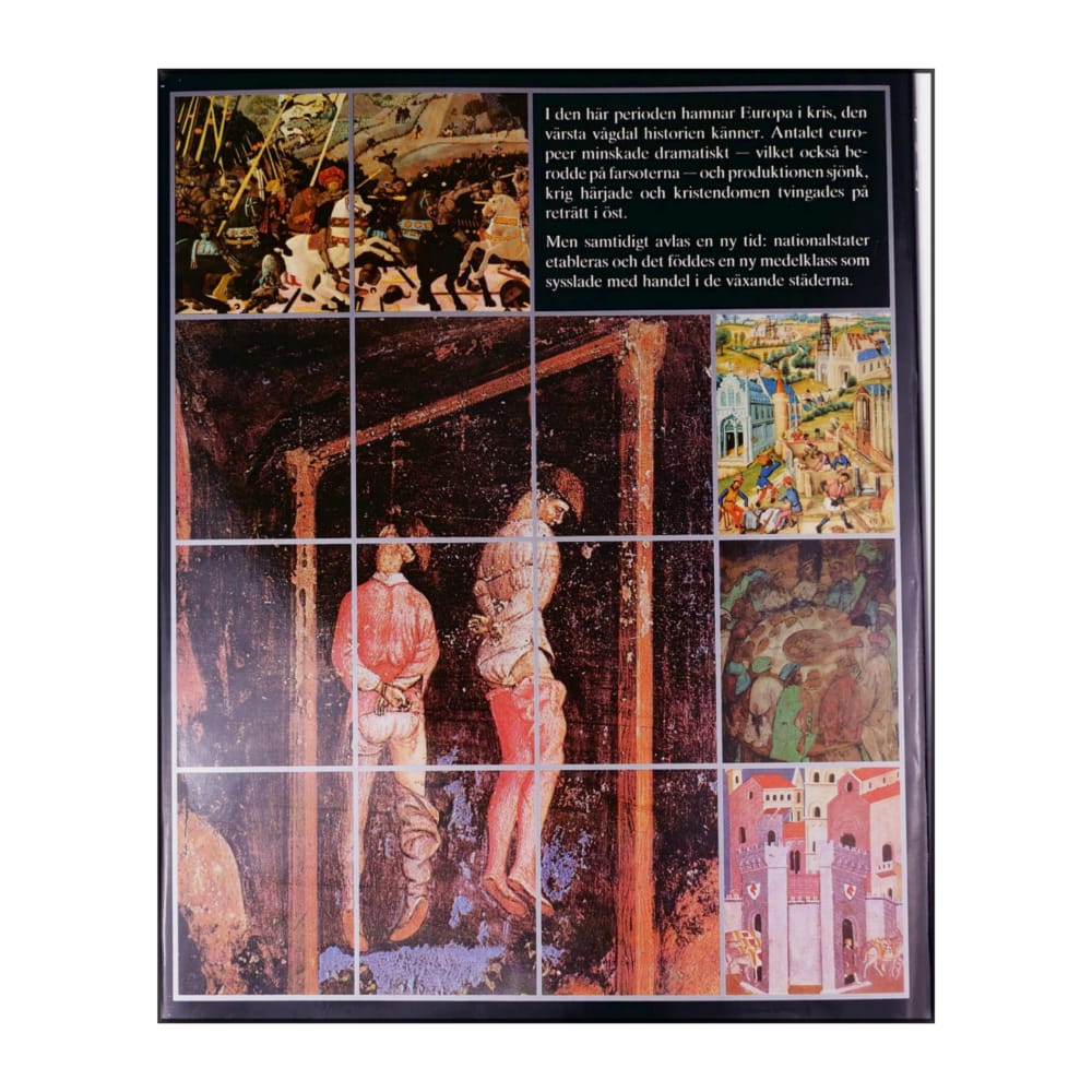 Bra Böckers Världshistoria 6